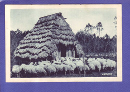 40  - LANDES - MOUTON DEVANT LEUR ABRI - UNE "" BORDE "" LANDAISE - - Aquitaine