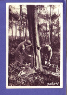 40  - LANDES - DERNIERE RECOLTE De La GOMME - LE "" BARREUSCOT "" - Aquitaine