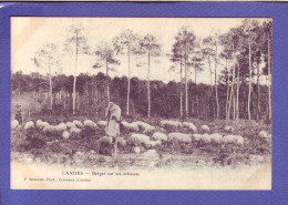 40  - LANDES - BERGER GARDANT SON TROUPEAU DE MOUTONS - ECHASSE -  - Aquitaine