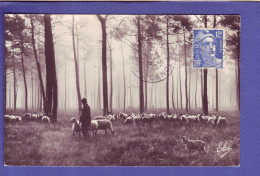 33 - LES LANDES - PATURAGE MATINAL - BERGER Et Ses  MOUTONS -  - Aquitaine