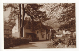 Winsford, Exmoor - Village And The Royal Oak Inn - 1940's Or 50's Somerset Postcard - Other & Unclassified