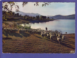 04 - LAC De SERRRE PONCON - TROUPEAU De MOUTON  TRANSHUMANT -  - Autres & Non Classés