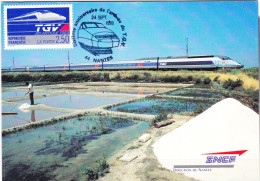 TGV ATLANTIQUE CARTE MAXIMUM OBLT SPECIALE 24 SEPT 1999 NANTES - 1990-1999