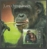 Niger 2013 Mi Block 256 MNH  (LZS5 NGRbl256) - Scimmie