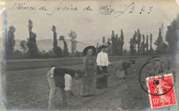 Photographie Carte Photo Groupe Dans Les Champs Travail De Ferme Paysans Postee De Lyon - Fotografie