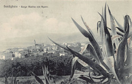 BORDIGHERA (IM) Borgo Marina Con Agave - Andere & Zonder Classificatie