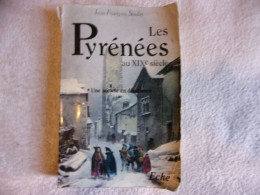 Les Pyrénées Au XIX ° Siècle Tome 2 - Midi-Pyrénées