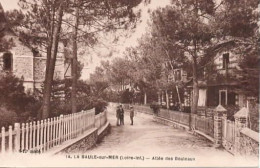 . 44 . LA BAULE-lsur-MER . Allée Des Bouleaux . Petite Animation . - La Baule-Escoublac