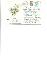 Russia -  Postal St.cover Used 1980  -    Flowers  -  Daffodils - Andere & Zonder Classificatie