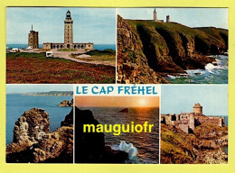 22 CÔTES D'ARMOR / CAP FREHEL / LES PHARES, LES FALAISES, LA FAUCONNIÈRE, LE CAP ET LE FORT DE LA LATTE - Cap Frehel