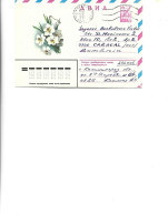 Russia -  Postal St.cover Used 1981  -    Flowers  - Daffodils - Andere & Zonder Classificatie