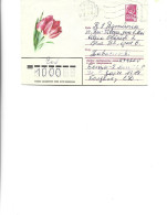 Russia -  Postal St.cover Used 1981  -    Flowers  - Tulips - Andere & Zonder Classificatie