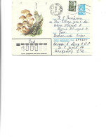 Russia -  Postal St.cover Used 1982  -   Mushrooms - Mushrooms