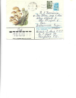 Russia -  Postal St.cover Used 1982  -   Mushrooms - Mushrooms