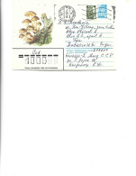 Russia -  Postal St.cover Used 1982  -   Mushrooms - Mushrooms