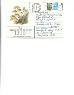 Russia -  Postal St.cover Used 1982  -   Mushrooms - Paddestoelen