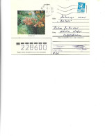 Russia - Postal Stationery Cover Used 1984 - Flowers -  Royal Flowers - Andere & Zonder Classificatie