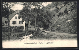 AK Höllental /Schwarzwald, Ortspartie  - Höllental