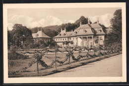 AK Dresden-Pillnitz, Schlossgarten, Bergpalais  - Pillnitz