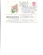 Russia - Postal Stationery Cover Used 1986 -   Flowers - Andere & Zonder Classificatie