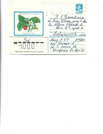 Russia - Postal Stationery Cover Used 1986 -   Flowers  - Wild Strawberry - Andere & Zonder Classificatie