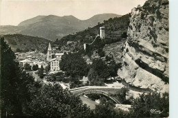 04* CASTELLANE  Vieux Pont Sur Le Verdon   (CPSM 10,5x15cm)          RL16,0146 - Castellane