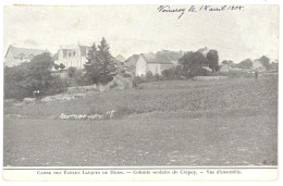 CPA 21 - Caisse Des Ecoles Laïques De DIJON (Côte D'Or) - Colonie Scolaire De Crépey - Vue D'ensemble - Dijon