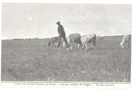 CPA 21 - Caisse Des Ecoles Laïques De DIJON (Côte D'Or) - Colonie Scolaire De Crépey - Vue Des Environs (échassier) - Dijon