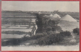 Carte Postale 85. Les Sables D'Olonne  Marais Salants   Très Beau Plan - Sables D'Olonne