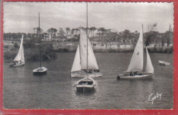 Carte Postale 85. Les Sables D'Olonne Le Lac De Tanchet   Très Beau Plan - Sables D'Olonne