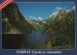 74842 - Norwegen - Naeoyfjord - 2005 - Noruega