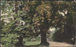 In The Gardens, New College, Oxford, 1909 - Valentine's Postcard - Oxford