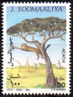 SOMALIA 1994 - 1v - MNH - Panther - Panthers - Felines - Cats - Panthère - Acacia - Tree - Félins - Pantera - Arbre - Felini