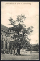 AK Braunschweig, Heinrichslinde Am Dom  - Braunschweig