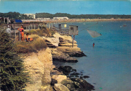 17 - Saint Georges De Didonne - Les Falaises De La Corniche - Saint-Georges-de-Didonne