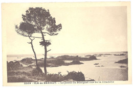 CPSM PF 22 - ILE DE BREHAT (Côte D'Armor) - 8069. La Petite Île Béniguet Vue De La Citadelle - Ile De Bréhat