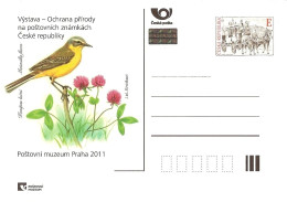 CDV PM 81 Czech Republic Knoteks Exhibition In The Post Museum Wagtail 2011 - Postcards