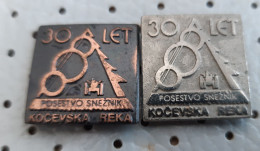 Posestvo SNEZNIK Kocevska Reka 30 Years Wood Industry Slovenia Yugoslavia Pins - Merken