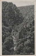 70373 - Bodetal - Blick Vom Bodetor - 1959 - Other & Unclassified