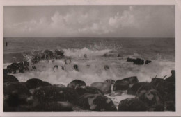 59414 - Westerland - Brandung An Der Buhne - 1952 - Sylt