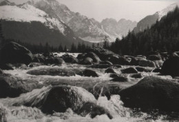 67042 - Slowakei - Vysoke Tatry - Hohe Tatra - Ca. 1965 - Slovakia