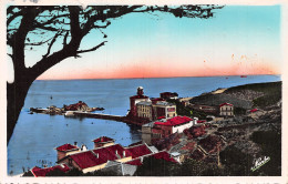 66-BANYULS SUR MER-N°LP5023-C/0117 - Banyuls Sur Mer