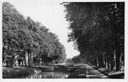 80-ABBEVILLE-N°LP5024-F/0149 - Abbeville