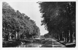 80-ABBEVILLE-N°LP5024-F/0141 - Abbeville