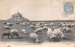 50-LE MONT SAINT MICHEL-N°LP5025-D/0367 - Le Mont Saint Michel