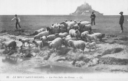 50-LE MONT SAINT MICHEL-N°LP5025-D/0365 - Le Mont Saint Michel