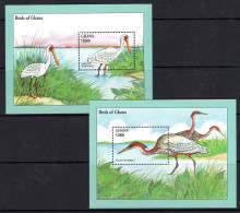 Ghana 1994 Birds MS Set MNH (SG MS2001) - Ghana (1957-...)