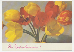 Postal Stationery Soviet Union 1969 Flower - Andere & Zonder Classificatie