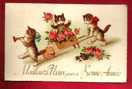 CP Mignonnette Meilleurs Voeux Pour La Bonne Année Chat Cat Brouette Fleurs Trompette ... Pour 1947 - New Year