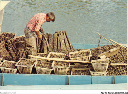 AJJP3-0286 - METIER - OBSTREICULTURE - RETOUR DES COLLECTEURS D'HUITRES  - Pesca